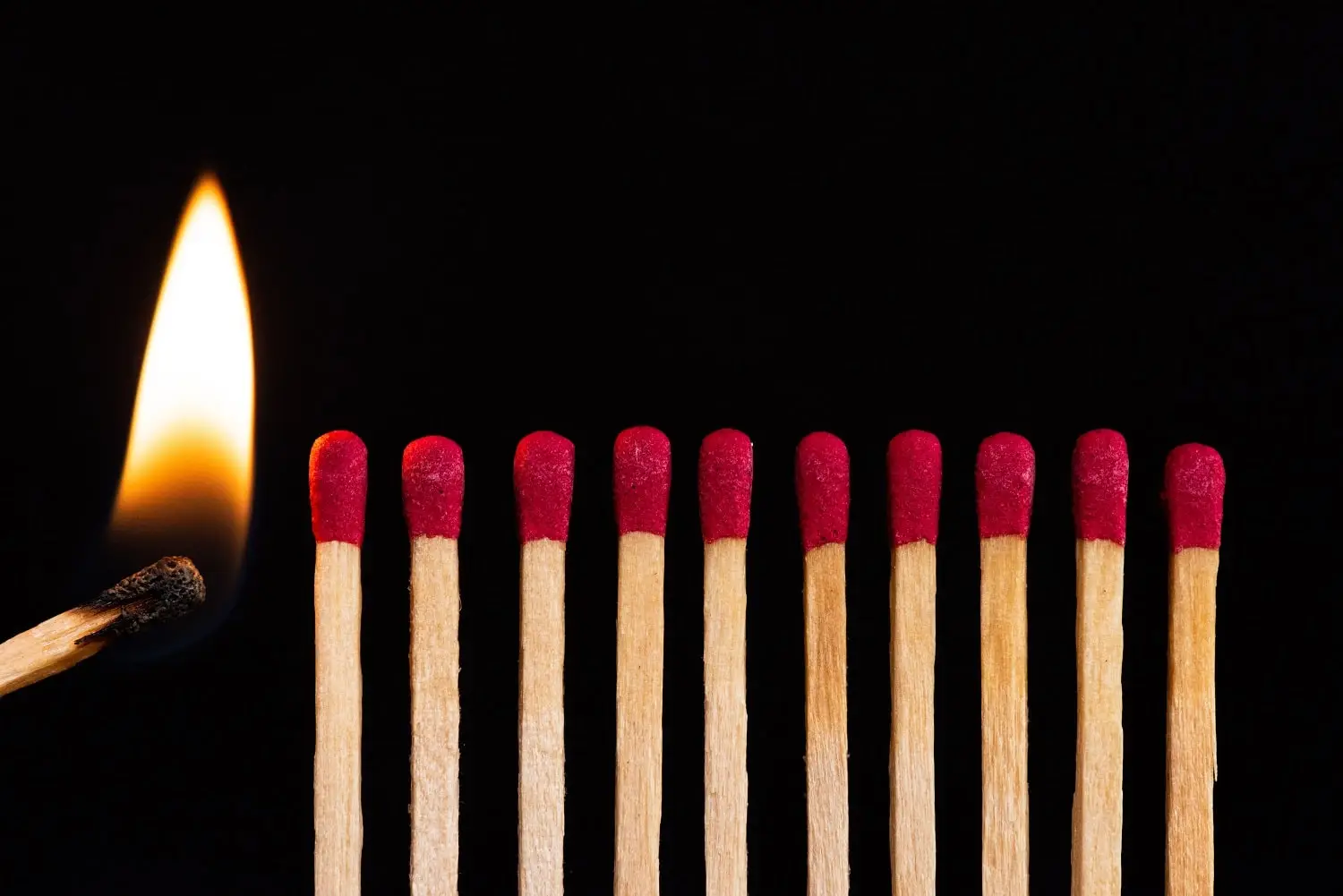 Photo of a lit match about to ignite others.