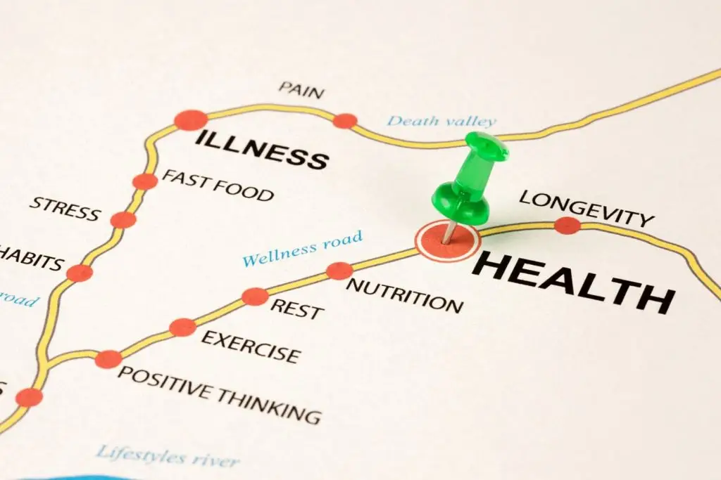 Image of a roadmap showing route to longevity vs pain and illness.